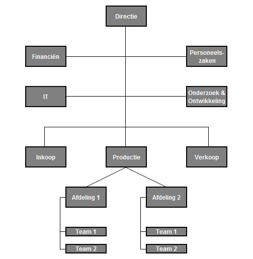 Organogram voorbeeld